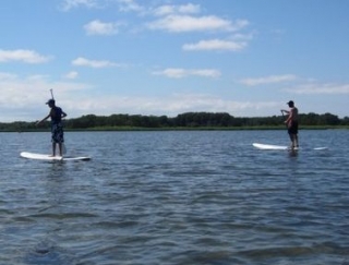  Alquiler de surf y paddle 